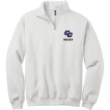 Curry College NuBlend 1/4-Zip Cadet Collar Sweatshirt