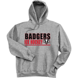 Scary Badgers Ultimate Cotton - Pullover Hooded Sweatshirt