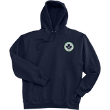 North Park Hockey Super Heavyweight Fleece Hoodie